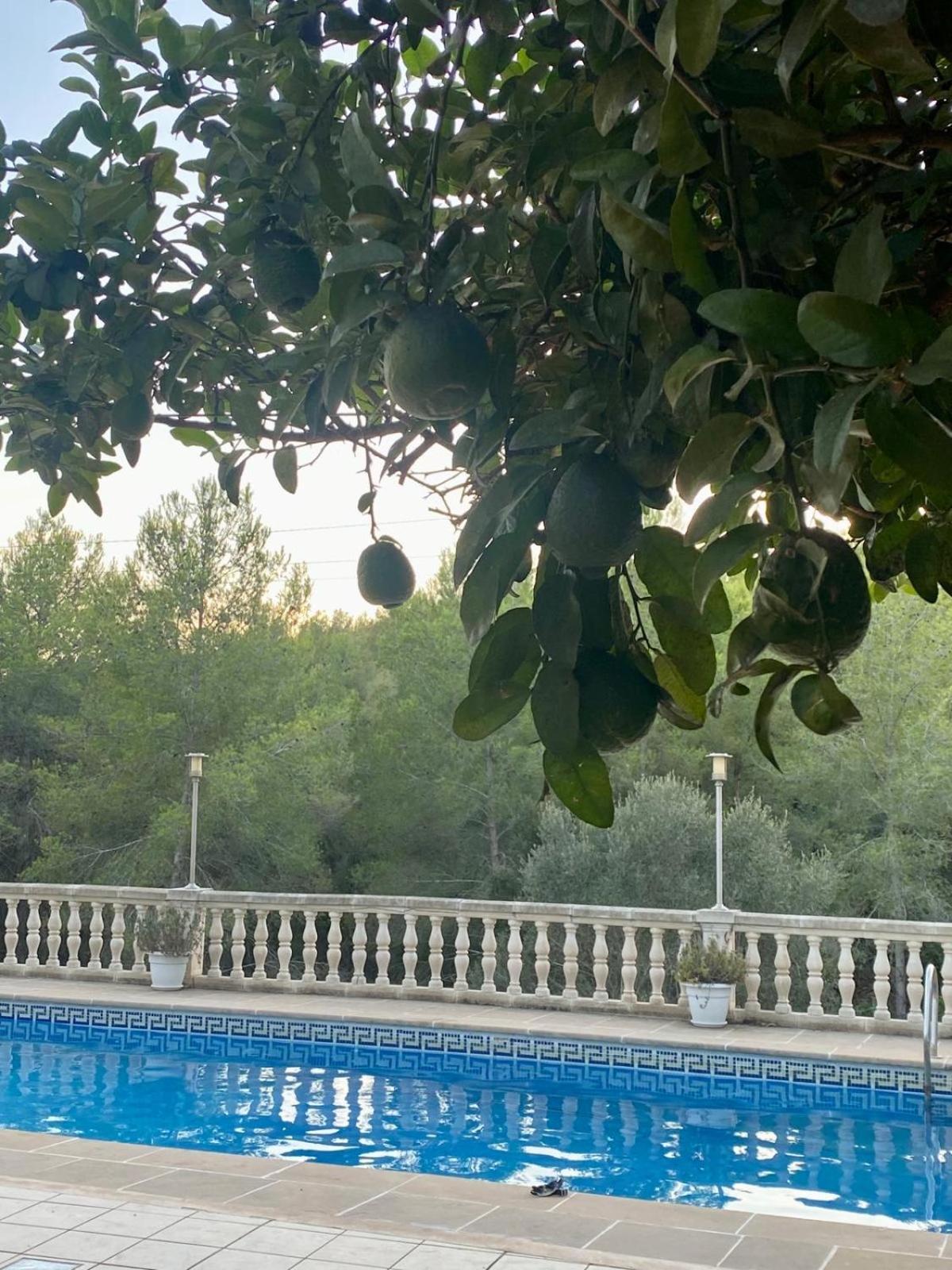 La Casa Dels Boscos Villa Tarragona Dış mekan fotoğraf